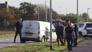 Twee paarden overleden na ongeval