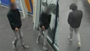 Wie herkent de onherkenbare dief?