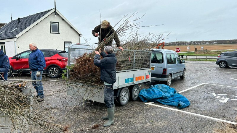 Uitdeelactie Meer Bomen Nu op 3 februari