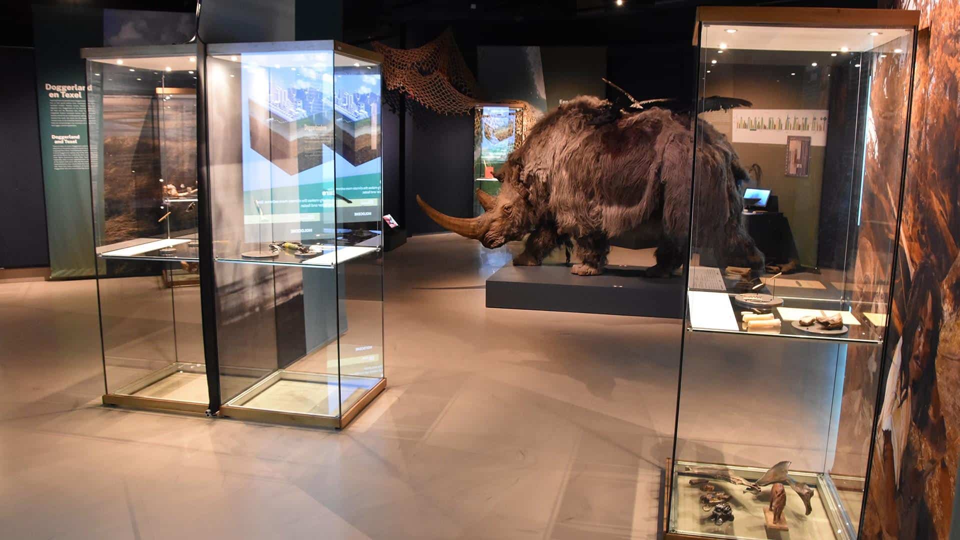 Tentoonstelling Doggerland bij Ecomare geopend