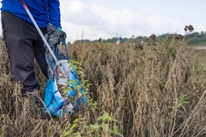 Staatsbosbeheer organiseert opschoondag bij het Robbenoordbos