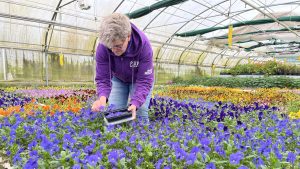 Video: Plantjes zijn niet alleen voor in een vaas, maar ook om op te eten