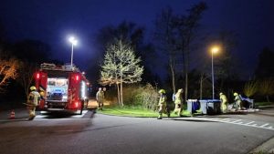 Papiercontainers in de hens