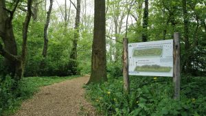 Hollands Kroon nodigt inwoners ’t Veld uit voor wandeling door opgeknapte parken
