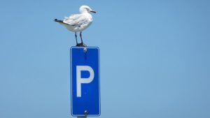 Nieuw parkeersysteem Noordwest Ziekenhuis
