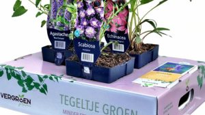 Tegel omruilen voor plantenpakket Hollands Kroon