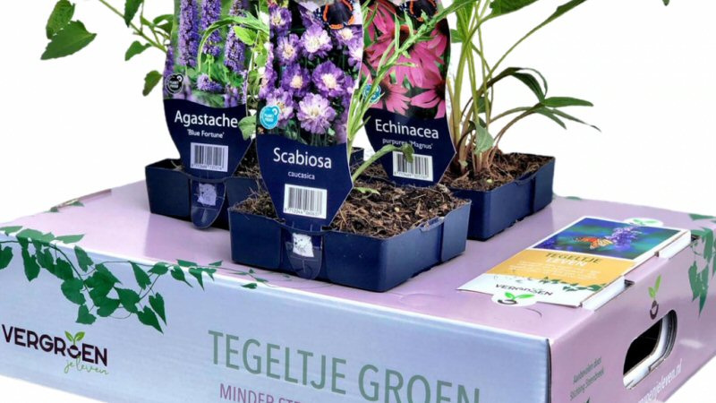Tegel omruilen voor plantenpakket Hollands Kroon