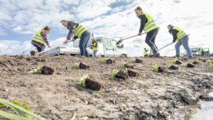 Plant-estafette gestart in Schagen