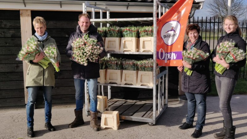 Tulpen van Present Hollands Kroon en boer Tom 