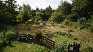 Provinciaal geld voor groene initiatieven