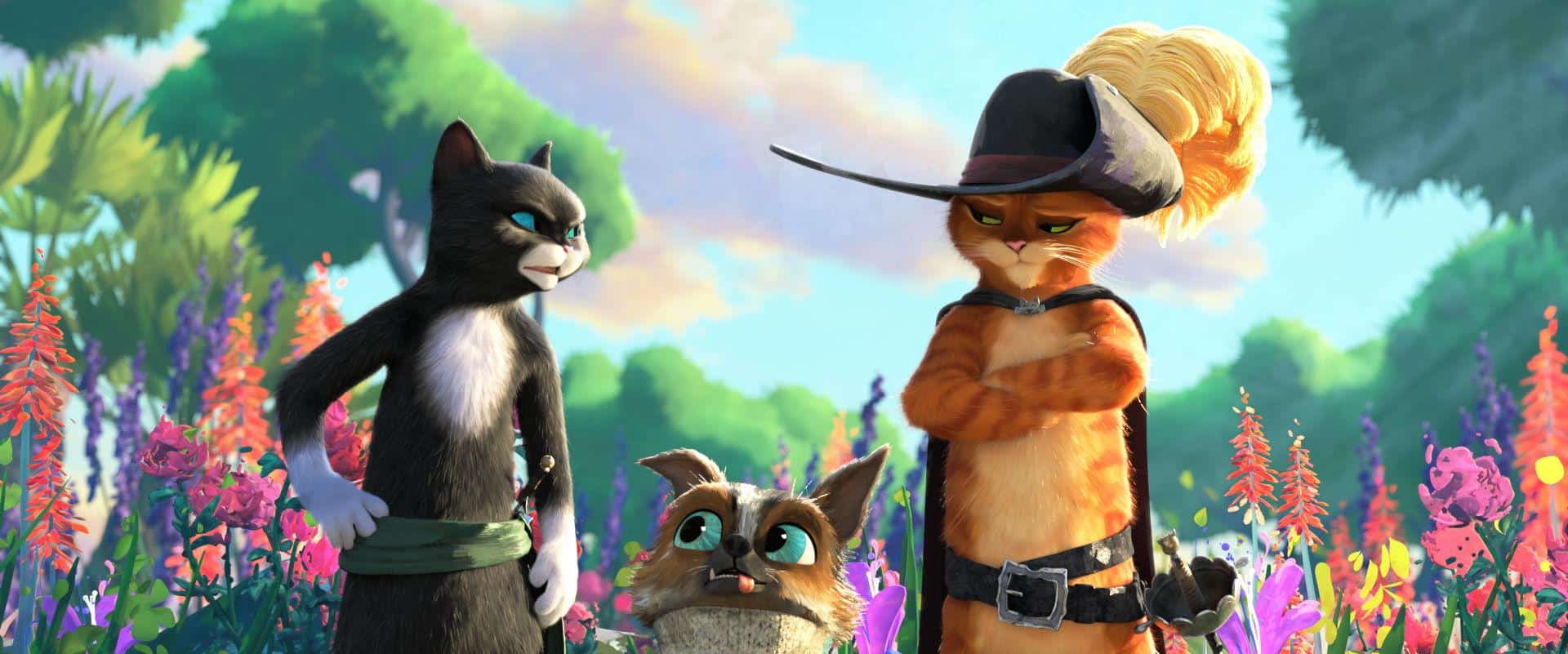 Puss in Boots: the Last Wish (recensie)