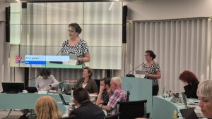 VVD: Afhandeling Fixi moet beter