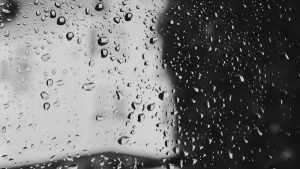 Extreem weer heeft gevolgen in waddengebied