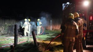 Opgeslagen riet in de hens