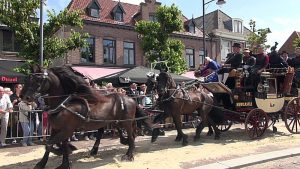 Zonovergoten en winderige ringstekerij
