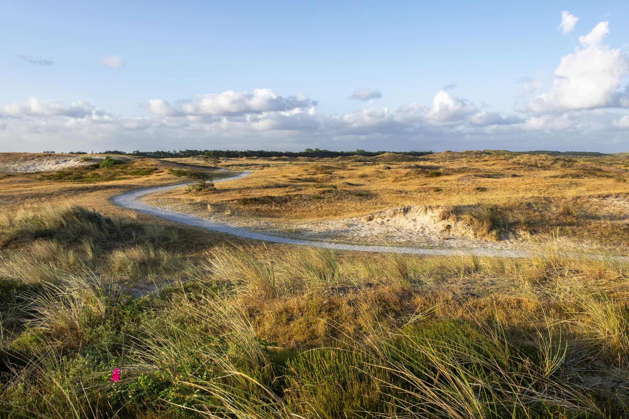 Landschap Noord-Holland zoekt enthousiaste vrijwilligers
