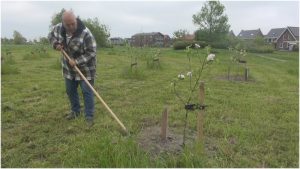 Dorpspark voor en door Tuitjenhorners