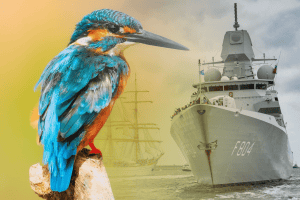 Wildedierenroute tijdens Sail 2023