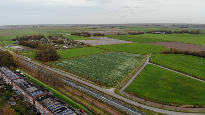 Wens4U stelt vragen over het ‘Reigersbosje’