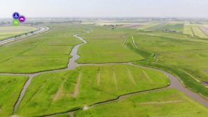 Schagerwad reddingsoord voor nationale vogel