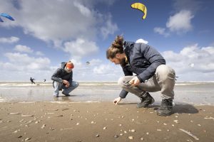 Schelpenteldag bij Strandpaviljoen Paal 9