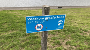 Honden mogen loslopen, maar niet graven op dijk buiten bebouwde kom Den Helder