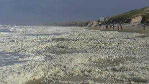 Veel schuim op het strand van Groote Keeten