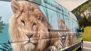 Onderweg om vier dieren te redden uit Oekraïne