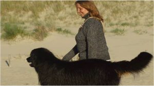 Stichting Therapiehond zoekt nieuw onderkomen