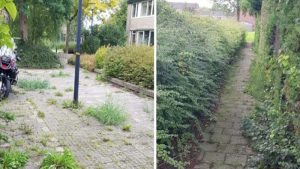 VVD wil aanpak voor beter onderhoud stoepen