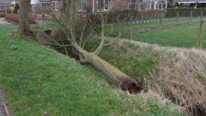 Storm in aantocht: Henk laat het waaien