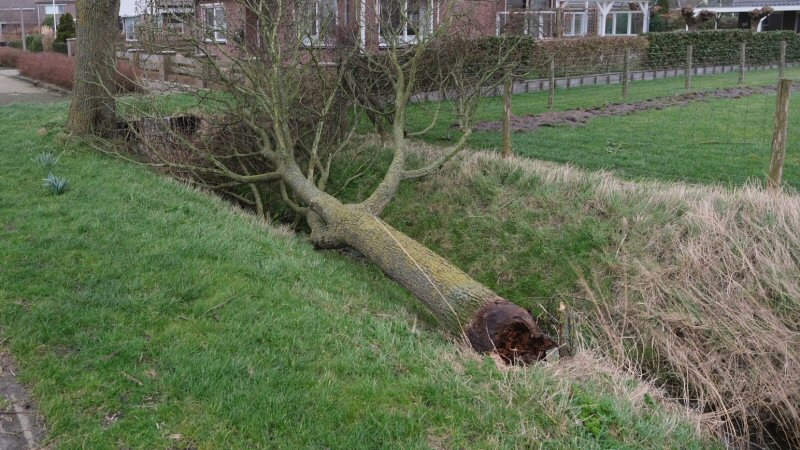 Storm in aantocht: Henk laat het waaien