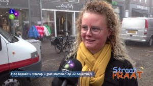 Hoe maakt u de keuze waarop u gaat stemmen?
