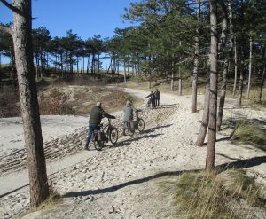 Duinfietspaden in gevaar: ruim 6.500 handtekeningen vóór behoud