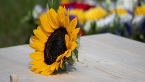 Uitvaart: verzekering of sparen?
