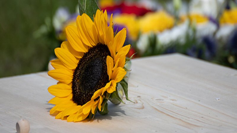Uitvaart: verzekering of sparen?