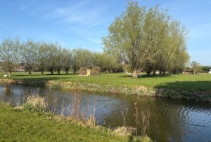 Bewoners starten petitie tegen woningbouw
