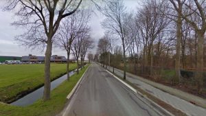 JessLokaal wil grote bomen terug in Warmenhuizen