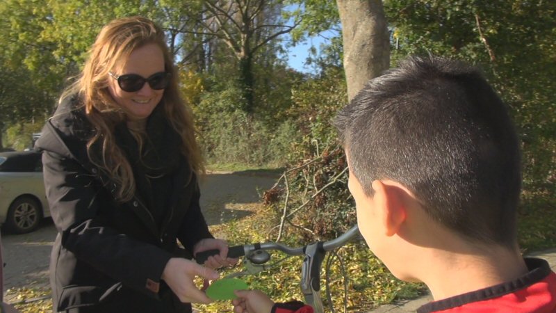 Actie tegen verkeerschaos bij de Ark