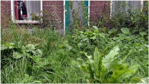 Klachten over verwaarlozen tuin door huurders
