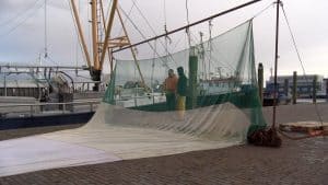 Video: Visserij in zwaar weer, maar Den Oever houdt stand