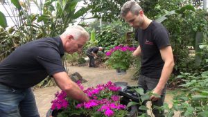 Drie generaties in familiebedrijf Vlindorado