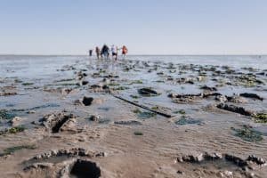 Waddenfonds verhoogt subsidiepot met 2 miljoen euro