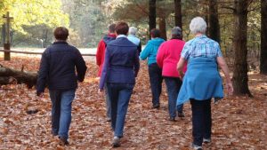 Weer wandelen met AV Nova