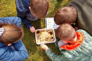 Speuren naar waterbeestjes in het Zwanenwater