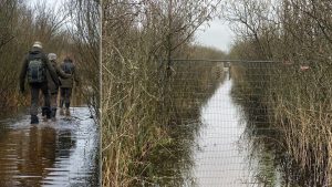 Zwanenwater deels dicht door vele water