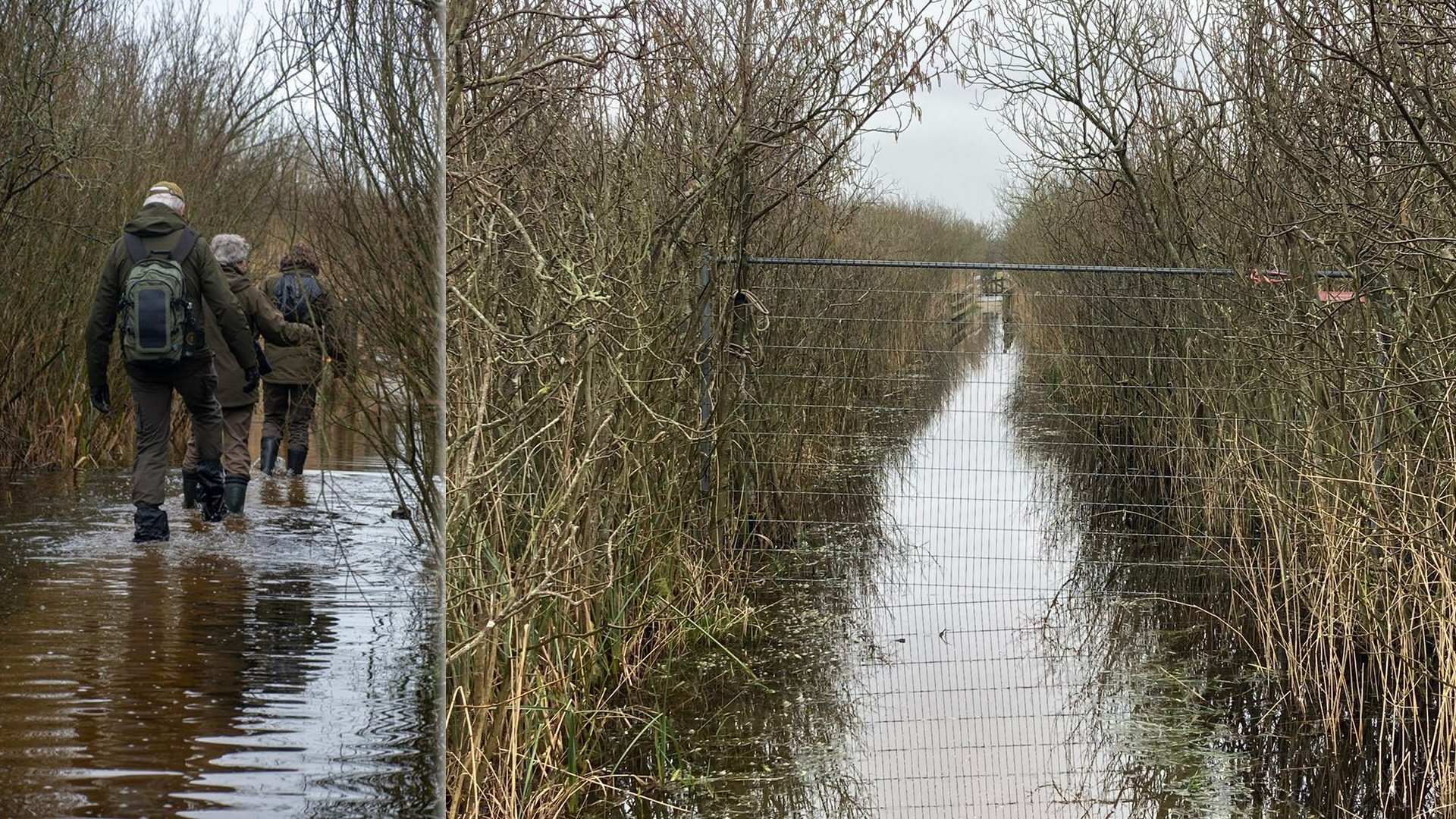 Zwanenwater deels dicht door vele water