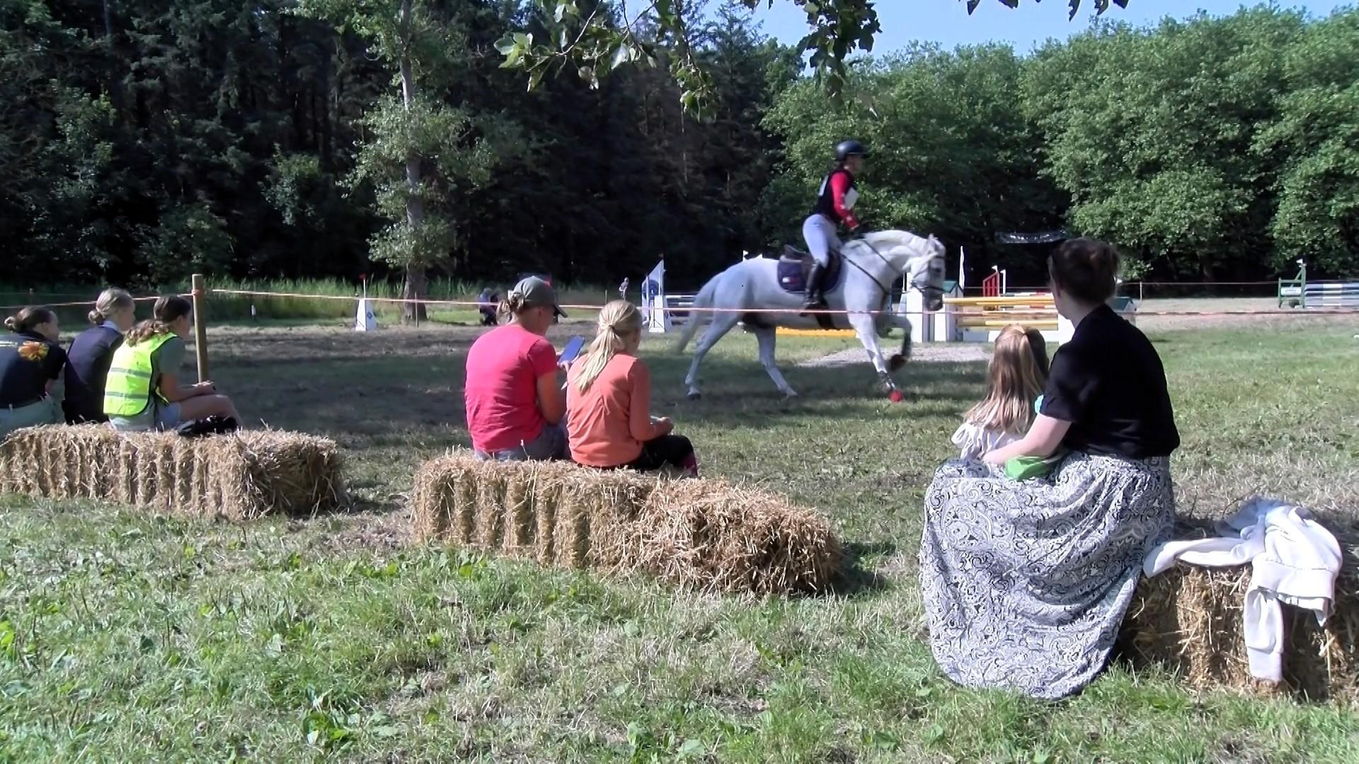 Video: Paardenliefhebbers uit heel Nederland naar het Dijkgatbos