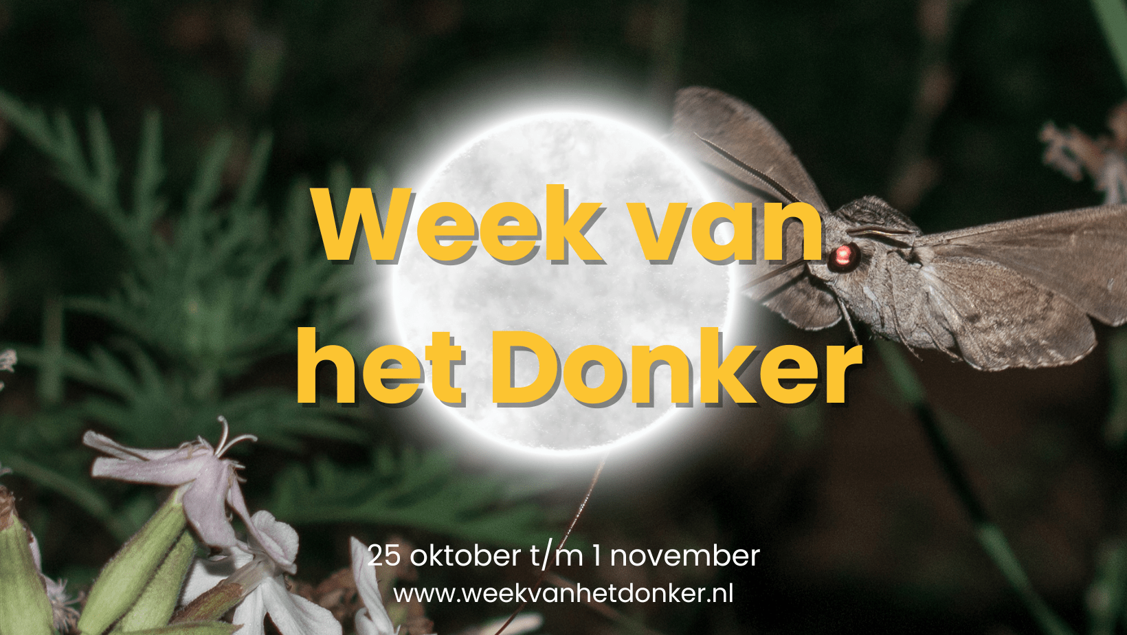 Nachtactiviteiten tijdens Week van het Donker bij de Helderse Vallei