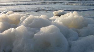 Statenfracties bezorgd over PFAS in zeeschuim